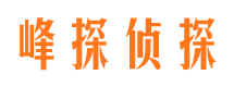 南县寻人公司